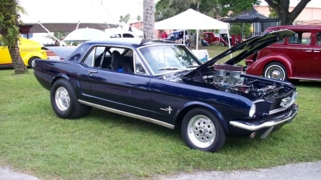 Pro Street Mustang - classic, ford, dk blue, rollcage