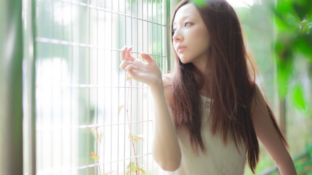 Asian Beauty - window, girl, beauty, light