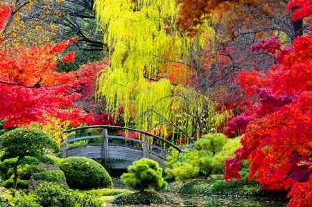 Autumn park - autumn, trees, park, colorful, foliage, fall, forest, walk, beautiful, leaves, bridge, pond