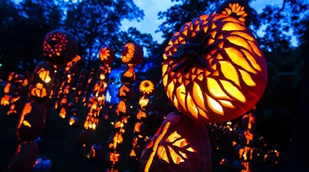 Halloween Art - ornaments, light, pumpkins, artwork