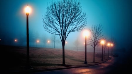 Atmosphere - fog, trees, park, cold day, autumn