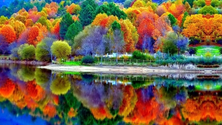 AUTUMN Colorful Season - Season, Yellow, Autumn, Red, Nature, Lake, Colors, Green, Brown