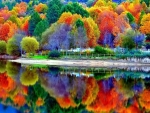 AUTUMN Colorful Season