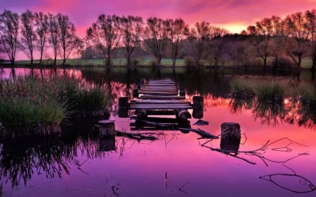 broken pier on a beautiful purple lake hdr - trees, sunset, purple, hdr, broken, lake, grass, pier