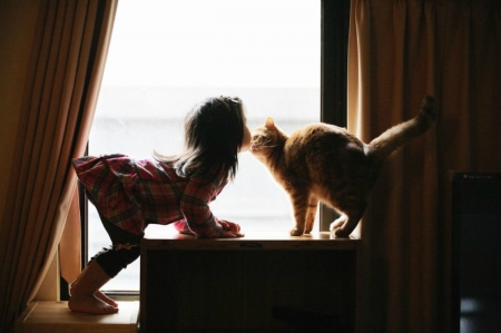 Sweet Kiss - Window, Child, kiss, Cat