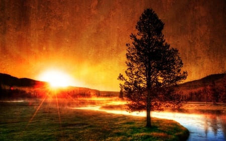 photograph of sunrise in yellowstone hdr - tree, steam, meadow, hdr, photo, sunrise, hot springs