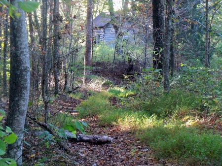 Log Home Near The Lane - Nature, Rural, Log Home, Forest, Tennessee