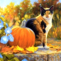 Autumn Cat