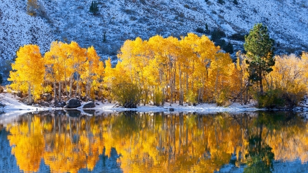 Mountain Autumn - lake, trees, forest, mountains