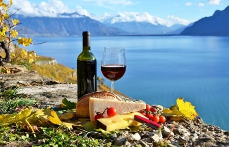 Picnic in Beach - beach, lake, wine, picnic