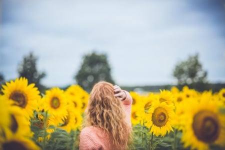 A Girl among Sunflowers - field, sky, sunflowers, girl