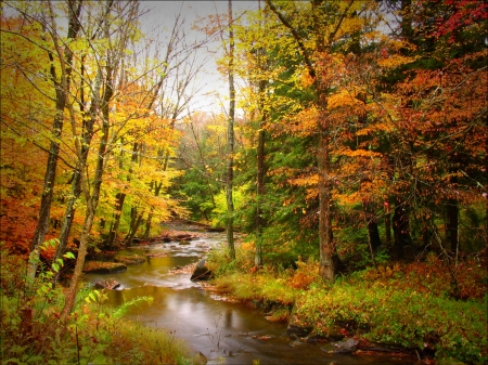 A small autumn river - river, trees, forest, autumn