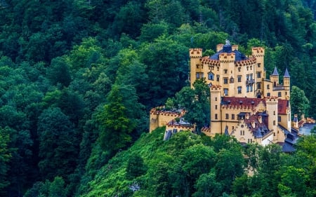 Hohenschwangau Castle, Germany - colorful, forest, castle, germany