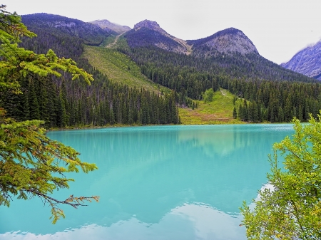 Emerald Lake - lake, forest, Canada, rocky mountain