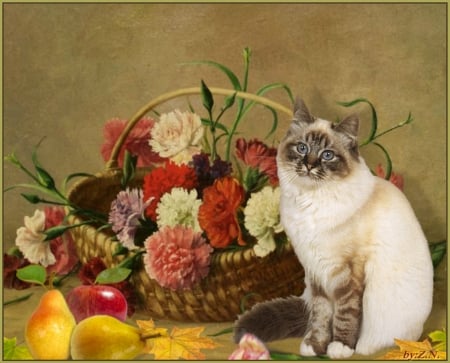 cat with basket - flowers, cat, basket, fruktis