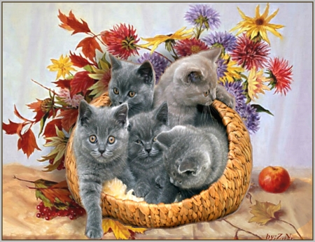 Cats in basket - basket, flowers, still life, cats