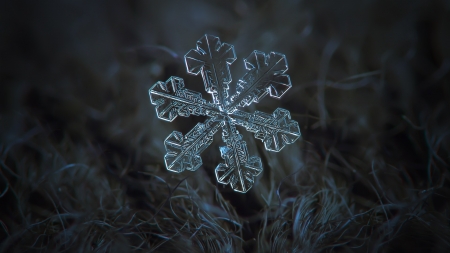 Snowflake - bg, wp, snowflake, abstract