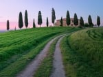 Tuscan Landscape, Italy