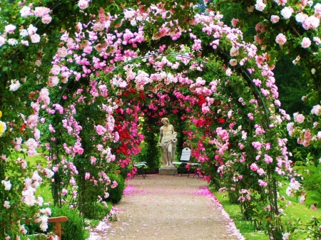 Rosebows - statue, roses, blossoms, park, leaves, plants, path