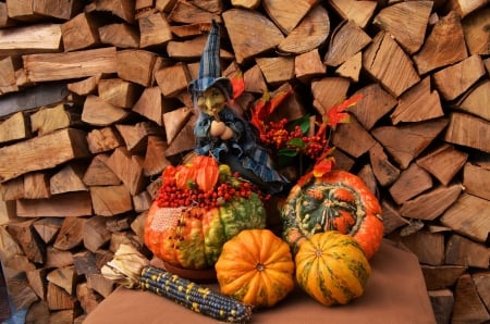 Halloween Witch - pumpkins, corn cob, wood, autumn