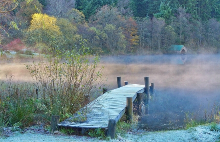 Mist bridge - lake, house, forest, trees