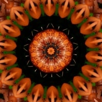 Halloween Daylily Abstract