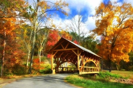 Autumn in Auburn - bridges, attractions in dreams, photography, colors, autumn beauty, fall, autumn, love four seasons, rural