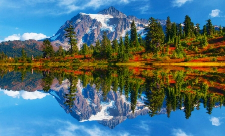 Grand Teton Autumn - reflection, trees, river, water, usa, fall season