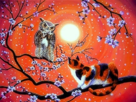 Owl and Pussycat - paintings, peach blossoms, cat, flowers, owl, moons, love four seasons, draw and paint, animals