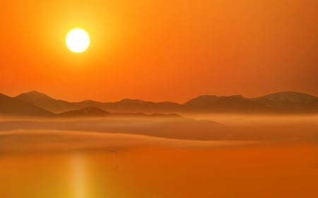 Golden Sunset - foggy, water, seagull, sunset, nature