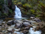 Lady Bath Falls, Victoria, Australia