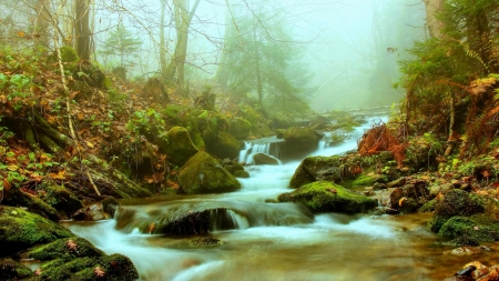 magic waterfall - wood, autumn, forest, magic, waterfall