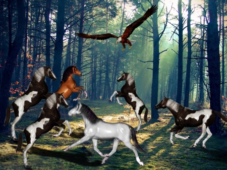 Horses - horses, nature, pretty, eagle, forest, animals, cute, fantasy