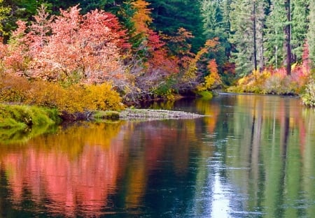 Colors of Autumn - nature, lake, autumn, fall leaves, colors