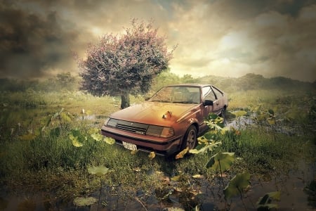 the car - nature, tree, old, the car