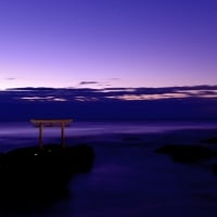 Torii Gate