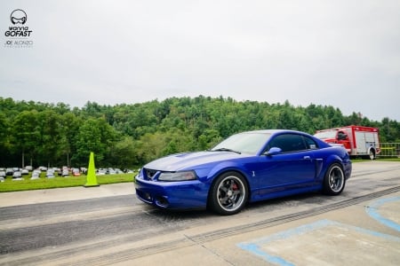 mustang cobra - cobra, ford, gt, mustang