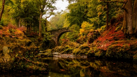 Foley's Bridge in Autumn F1 - nature, scenery, beautiful, autumn, photography, photo, bridge, wide screen