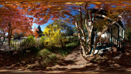 Fall Colors in Ukiah  - wide screen, california, autumn, fish eye lens, photography, nature, beautiful, scenery, ukiah, usa, photo