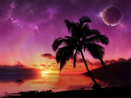 Sunset - moon, palm, fantasy, sunset