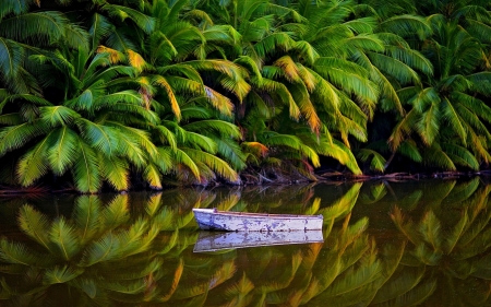 Tropical Jungle - palm trees, river, forest, boat