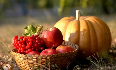 Fruits and vegetables togrther - food, basket, vegetables, autumn