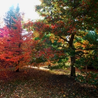 Autumn in Minnesota