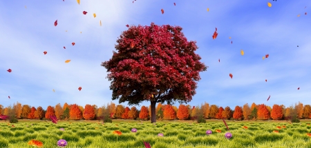 Autumn Leaves in the Breeze - autumn, fence, trees, field, fall, leaves, tree, flowers, grass