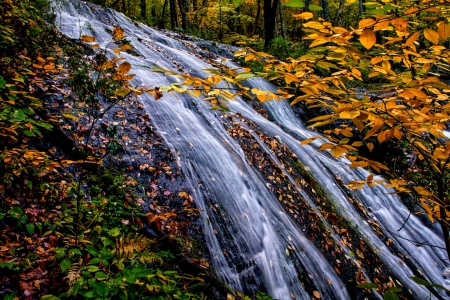 Waterfall - fall, branches, waterfall, beautiful, autumn, leaves