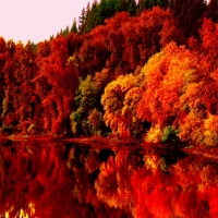 Autumn Lake