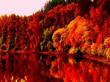 Autumn Lake - reflections, Autumn, red, Lake, forest