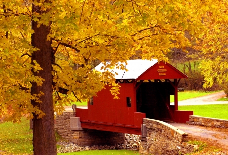 Covered bridge - branches, autumn, park, fall, covered, forest, beautiful, leaves, bridge