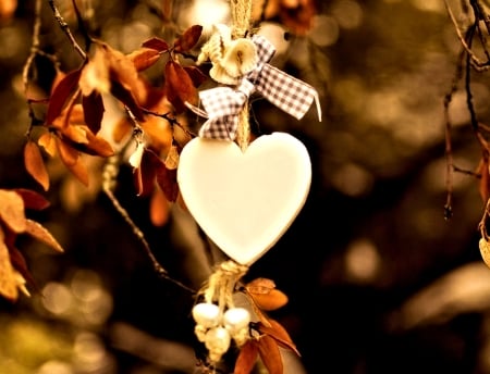 Autumn Decoration - Autumn, Heart, Deco, Leafs