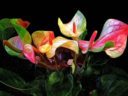 Beautiful Flowers - lilies, nature, glow, art, abstract, petals, calla, leaves, flowers